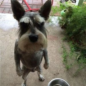 Meet your Posher, Jefferson